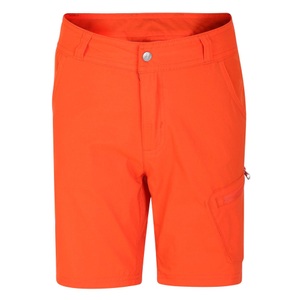 Dare 2b, Reprise Ii Shorts Jungen Rot Bunt 140, 