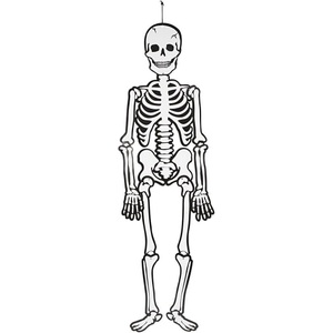 Creativ Company, Creativ Company Halloweenfigur Papierdeko Skelett 120 cm, 300g, Creativ Company Halloweenfigur Papierdeko Skelett 120 cm, 300g