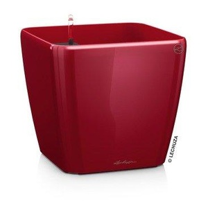Lechuza, Lechuza - 4er-Set Blumenkästen mit Integriertem Bewässerungssystem Quadro Premium 21 LS - Rot, Lechuza Pflanzentopf Quadro Premium 21 LS Rot