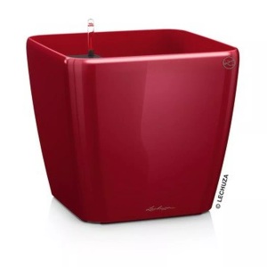 Lechuza, Lechuza - 4er-Set Blumenkästen mit Integriertem Bewässerungssystem Quadro Premium 21 LS - Rot, Lechuza Pflanzentopf Quadro Premium 21 LS Rot
