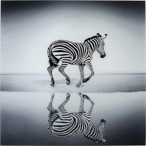 Kare Design, Bild Glas Savanne Zebra 120x120cm, KARE Design - Bild Glas Savanne Zebra 120x120cm, One Size, Multicolor