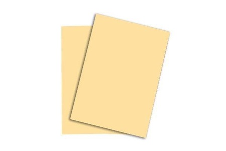 Papyrus, PAPYRUS Rainbow Papier FSC A3 88042278 80g, chamois 500 Blatt, Papyrus Rainbow Papier, FSC, A3, 80g, chamois, 88042278, (500 Blatt)