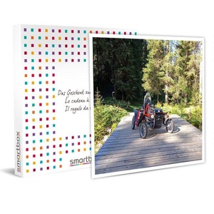SMARTBOX, Eine 2 Std. 30 Min. Tandem-swincar Fahrt In Der Nähe Von Montreux - Geschenkbox Unisex, Eine 2 Std. 30 Min. Tandem-Swincar Fahrt in der Nähe von Montreux