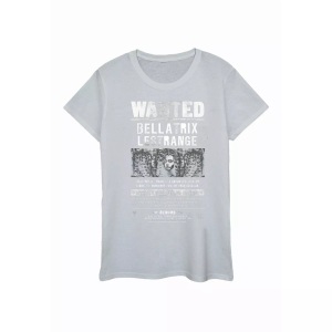 HARRY POTTER, Tshirt Damen Grau S, Harry Potter - TShirt, für Damen, Grau, Größe S