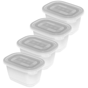 Rotho, Rotho - Vorratsbehälter Freeze 4 Stück, 0.75 l, Transparent, Rotho FREEZE Vorratsdose Tiefkühldose