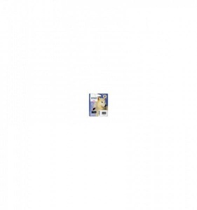 Epson, Original Tintenpatrone light magenta Epson T096640, Epson Tintenpatrone, hell-rot, Ultrachrome, Husky, vivid, C13T09664010, (11.4 ml)