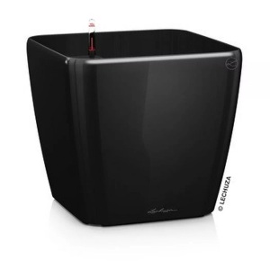 Lechuza, Lechuza - 4er-Set Blumenkästen mit Integriertem Bewässerungssystem Quadro Premium 21 LS - Schwarz, Lechuza Pflanzentopf Quadro Premium 21 LS Schwarz