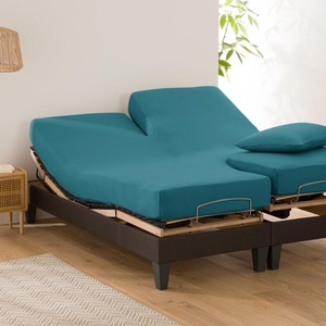LA REDOUTE INTERIEURS, Uni-Fixleintuch für verstellbares Doppelbett Scenario Uni-Fixleintuch für verstellbares Doppelbett Scenario, 