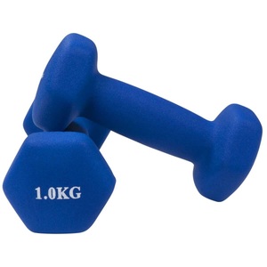Gladiatorfit, GladiatorFit Hanteln mit Neoprenüberzug Bodybuilding und Fitness (2er-Set) : 2 x 1 KG Hanteln, GladiatorFit - Neoprenhanteln Bodybuilding und Fitness (2er-Set), 1 kg, Multicolor