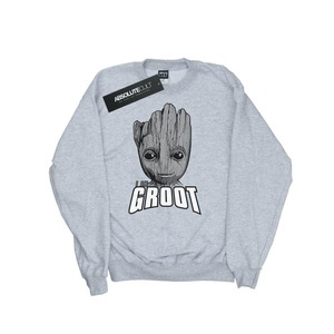 Marvel, Guardians Of The Galaxy Groot Face Sweatshirt Unisex Grau 152-158, MARVEL - Guardians Of The Galaxy Sweatshirt, 152-158, Grau