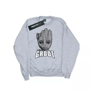 Marvel, Guardians Of The Galaxy Groot Face Sweatshirt Unisex Grau 152-158, MARVEL - Guardians Of The Galaxy Sweatshirt, 152-158, Grau