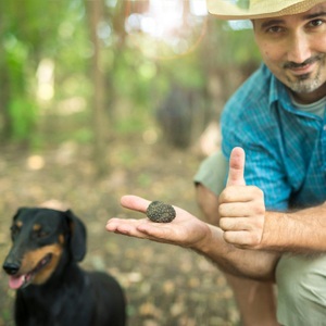 SMARTBOX, Jagd Mit Trüffelhunden Und Menü Für 2 - Geschenkbox Unisex, Jagd mit Trüffelhunden und Menü für 2