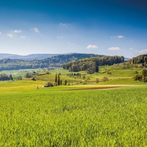 SMARTBOX, Ab In Die Natur: 2 Übernachtungen Mit Frühstück In Einem Romantischen B&b Im Kanton Jura - Geschenkbox Unisex, Ab in die Natur: 2 Übernachtungen mit Frühstück in einem romantischen B&B im Kanton Jura