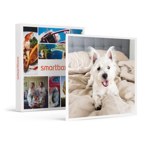 SMARTBOX, Die Schweiz mit dem besten Freund: Aufenthalt für 2 mit Hund, Die Schweiz mit dem besten Freund: Aufenthalt für 2 mit Hund