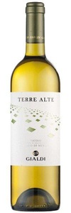 Gialdi, Terre Alte Bianco di Merlot DOC 2018 - Gialdi - 75 cl - Weisswein - Tessin, Schweiz, Gialdi Vini - Linie Gialdi Terre Alte Bianco di Merlot DOC - 75cl - Tessin, Schweiz
