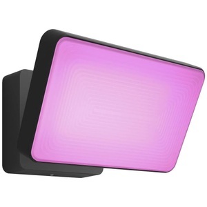 Philips, Philips Hue White and Color Ambiance Discover - Flutlicht (Schwarz), Philips Hue Aussenstrahler Discover 17435/30/P7