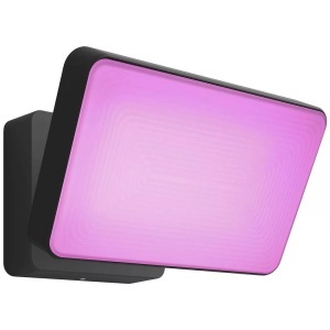 Philips, Philips Hue White and Color Ambiance Discover - Flutlicht (Schwarz), Philips Hue Aussenstrahler Discover 17435/30/P7
