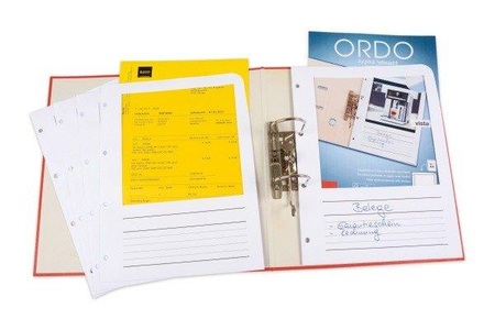 Elco, ELCO Zeigetasche Ordo Vista A4 100 St?ck, ELCO Organisationsmappen Ordo Vista 29462.10 weiss, 120g, gelocht 100 Stück