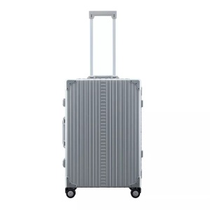 Aleon, Reisekoffer mit Kleidersack in Platin, Reisekoffer mit Kleidersack in Platin