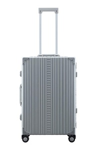Aleon, Reisekoffer mit Kleidersack in Platin, Reisekoffer mit Kleidersack in Platin