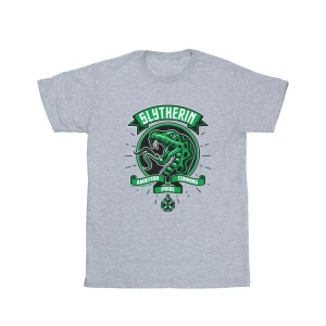 HARRY POTTER, Slytherin Toon Crest Baumwollboyfriend Tshirt Damen Grau S, Harry Potter - Slytherin TShirt, für Damen, Grau, Größe S