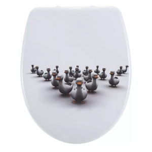 Diaqua, DIAQUA WC-Sitz NICE SLOW DOWN, diaqua® WC-Sitz »Duck mit Absenkautomatik, Weiss«