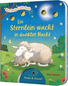 Esslinger in der Thienemann-Esslinger Verlag GmbH, Mein Puste-Licht-Buch: Ein Sternlein wacht in dunkler Nacht, Mein Puste-Licht-Buch: Ein Sternlein wacht in dunkler Nacht