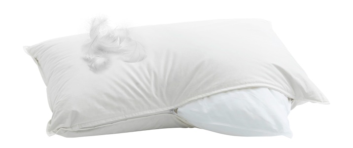 Billerbeck, billerbeck - Kopfkissen CASA PIUMA - Baumwolle - weiss - 60/60 cm, Billerbeck Kissen Casa Piuma