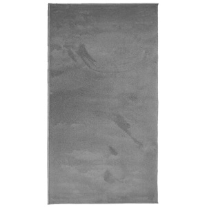 vidaXL, vidaXL Teppich OVIEDO Kurzflor Anthrazit 80x150 cm