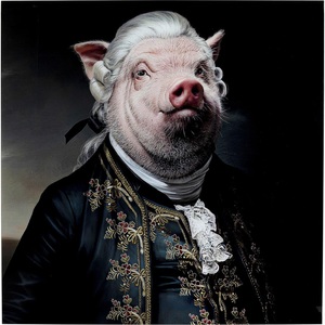 Kare Design, Bild Glas Gentleman Pig 120x120cm, 