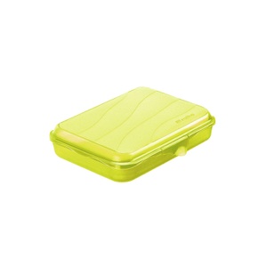 Rotho, Rotho FUN Lunchbox Snackbox, 