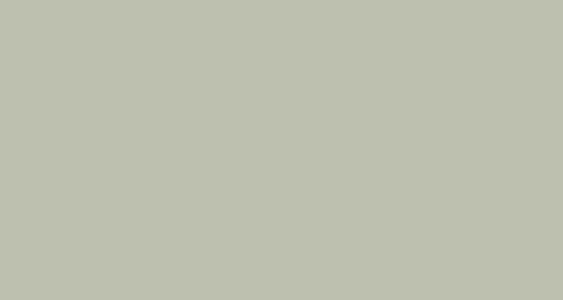 Papyrus, PAPYRUS Tonzeichenpapier A4 88020061 130g. silbergrau 100 Blatt, Papyrus Tonzeichenpapier, A4, 130g, silber, 88020061, (100 Blatt)