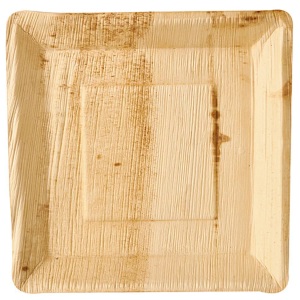 PAPSTAR, Papstar Teller Pure Palmblatt eckig 25, Papstar Teller Pure 25 cm x 25 cm, 25 Stück
