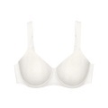 TRIUMPH, Triumph Minimizer-BH »Essential Minimizer W«