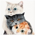 PAW, Servietten Lunch 20x Better Together, 33x33cm