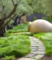 undefined, Gräser-Teppich 'Carex Remota'