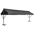 Diverse Hardware, Freistehende Markise 600x300 cm Anthrazit