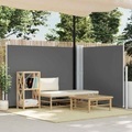 Diverse Hardware, Ausziehbare Seitenmarkise Anthrazit 140 x 600 cm