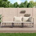 vidaXL, vidaXL 3-tlg. Garten-Lounge-Set mit Kissen Anthrazit Poly Rattan