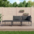 vidaXL, vidaXL 3-tlg. Garten-Lounge-Set mit Kissen Anthrazit Poly Rattan