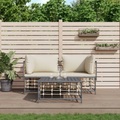 vidaXL, vidaXL 3-tlg. Garten-Lounge-Set mit Kissen Anthrazit Poly Rattan