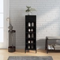 vidaXL, vidaXL Schuhschrank Schwarz 30x35x105 cm Holzwerkstoff