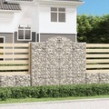 vidaXL, vidaXL Gabionen mit Hochbogen 20Stk. 200x30x180/200cm Verzinktes Eisen