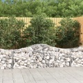 vidaXL, vidaXL Gabione mit Hochbogen 200x50x60/80 cm Verzinktes Eisen