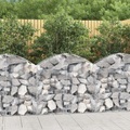 vidaXL, vidaXL Gabione mit Hochbogen 100x30x80/100 cm Verzinktes Eisen