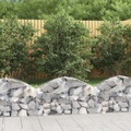 vidaXL, vidaXL Gabione mit Hochbogen 100x30x40/60 cm Verzinktes Eisen