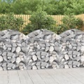 vidaXL, vidaXL Gabione mit Hochbogen 100x30x100/120 cm Verzinktes Eisen