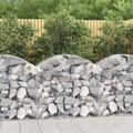 vidaXL, vidaXL Gabione mit Hochbogen 100x50x80/100 cm Verzinktes Eisen