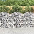 vidaXL, vidaXL Gabione mit Hochbogen 100x50x100/120 cm Verzinktes Eisen