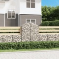 vidaXL, vidaXL Gabione mit Hochbogen 100x50x120/140 cm Verzinktes Eisen